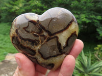 Polished Septeyre (Calcite & Aragonite) Hearts x 12 From Madagascar - TopRock