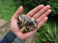 Polished Septeyre (Calcite & Aragonite) Hearts x 12 From Madagascar - TopRock