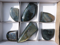 Polished Flashy Labradorite Standing Free Forms  x 6 From Tulear, Madagascar - TopRock