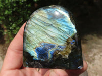 Polished Flashy Labradorite Standing Free Forms  x 6 From Tulear, Madagascar - TopRock