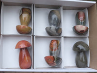 Polished Polychrome / Picasso Jasper Mushrooms x 6 From Madagascar - TopRock