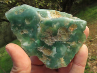 Polished Mtorolite Emerald Chrome Chrysoprase Plates x 14 From Mutorashanga, Zimbabwe - TopRock