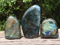 Polished Flashy Labradorite Standing Free Forms  x 6 From Tulear, Madagascar - TopRock