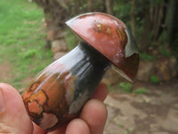 Polished Polychrome / Picasso Jasper Mushrooms x 6 From Madagascar - TopRock