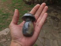 Polished Polychrome / Picasso Jasper Mushrooms x 6 From Madagascar - TopRock