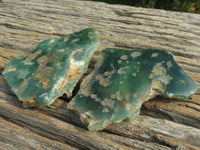 Polished Mtorolite Emerald Chrome Chrysoprase Plates x 14 From Mutorashanga, Zimbabwe - TopRock
