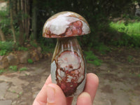 Polished Polychrome / Picasso Jasper Mushrooms x 6 From Madagascar - TopRock