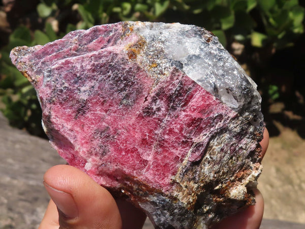 Natural Rough Red Rhodonite Specimens  x 6 From Zimbabwe - TopRock