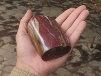 Polished Petrified Red Podocarpus Wood Standing Free Forms x 3 From Mahajanga, Madagascar - TopRock