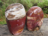 Polished Petrified Red Podocarpus Wood Standing Free Forms x 3 From Mahajanga, Madagascar - TopRock