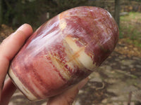 Polished Petrified Red Podocarpus Wood Standing Free Forms x 3 From Mahajanga, Madagascar - TopRock