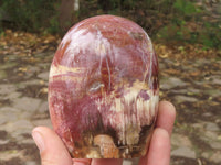 Polished Petrified Red Podocarpus Wood Standing Free Forms x 3 From Mahajanga, Madagascar - TopRock