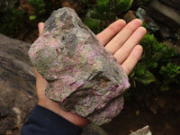 Polished Rough Stichtite & Serpentine Specimens  x 5 From Barberton, Southern Africa - Toprock Gemstones and Minerals 