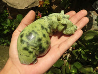 Polished  Hand Made Leopard Stone Hippos - Medium - Sold per piece - From Zimbabwe - TopRock