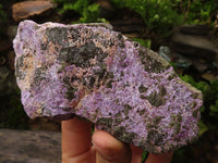 Polished Rough Stichtite & Serpentine Specimens  x 5 From Barberton, Southern Africa - Toprock Gemstones and Minerals 