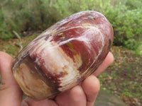 Polished Petrified Red Podocarpus Wood Standing Free Forms x 3 From Mahajanga, Madagascar - TopRock