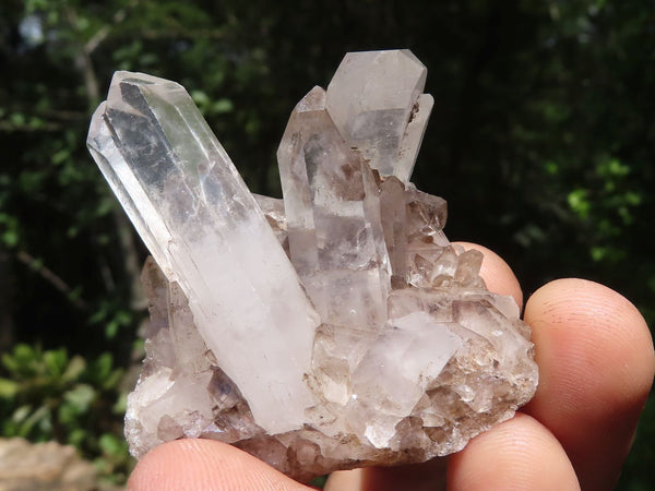 Natural Mixed Mini Quartz Clusters  x 35 From Madagascar - TopRock