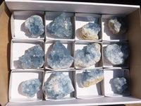 Natural Blue Celestite Crystal Specimens  x 12 From Sakoany, Madagascar - Toprock Gemstones and Minerals 