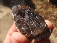 Natural Stunning Smokey Quartz Crystal Specimens x 24 From Mulanje, Malawi