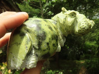 Polished  Hand Made Leopard Stone Hippos - Medium - Sold per piece - From Zimbabwe - TopRock