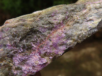 Polished Rough Stichtite & Serpentine Specimens  x 5 From Barberton, Southern Africa - Toprock Gemstones and Minerals 