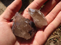 Natural Stunning Smokey Quartz Crystal Specimens x 24 From Mulanje, Malawi