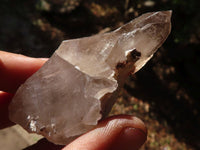 Natural Stunning Smokey Quartz Crystal Specimens x 24 From Mulanje, Malawi