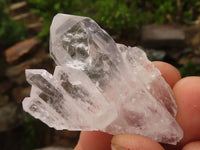 Natural Single Clear Quartz Crystals  x 35 From Zambia - Toprock Gemstones and Minerals 