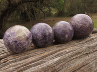 Polished Purple Lepidolite Mica Spheres  x 4 From Madagascar - TopRock