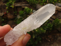 Natural Single Clear Quartz Crystals  x 35 From Zambia - Toprock Gemstones and Minerals 