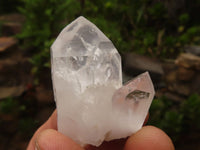 Natural Single Clear Quartz Crystals  x 35 From Zambia - Toprock Gemstones and Minerals 