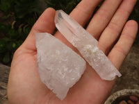 Natural Single Clear Quartz Crystals  x 35 From Zambia - Toprock Gemstones and Minerals 