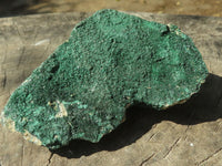 Natural Micro Botryoidal Malachite on Matrix Specimens  x 6 From Tenke Fungurume, Congo - TopRock