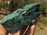 Natural Micro Botryoidal Malachite on Matrix Specimens  x 6 From Tenke Fungurume, Congo - TopRock