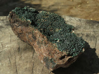 Natural Micro Botryoidal Malachite on Matrix Specimens  x 6 From Tenke Fungurume, Congo - TopRock