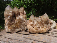 Natural Cascading White Phantom Smokey Quartz Clusters  x 2 From Luena, Congo - TopRock