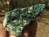 Natural Micro Botryoidal Malachite on Matrix Specimens  x 6 From Tenke Fungurume, Congo - TopRock