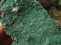 Natural Micro Botryoidal Malachite on Matrix Specimens  x 6 From Tenke Fungurume, Congo - TopRock