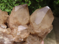 Natural Cascading White Phantom Smokey Quartz Clusters  x 2 From Luena, Congo - TopRock