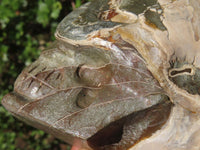 Polished Opalized Fossil Skull Carving  x 1 From Madagascar - Toprock Gemstones and Minerals 