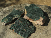 Natural Micro Botryoidal Malachite on Matrix Specimens  x 6 From Tenke Fungurume, Congo - TopRock