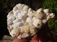 Natural Mixed Matrix Brandberg Quartz Specimens x 17 From Brandberg, Namibia