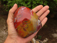 Polished Red Jasper Standing Free Forms  x 2 From Madagascar - Toprock Gemstones and Minerals 