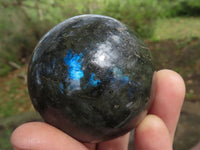 Polished Labradorite Spheres With Nice Subtle Flash x 6 From Tulear, Madagascar - TopRock