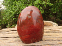 Polished Red Jasper Standing Free Forms  x 2 From Madagascar - Toprock Gemstones and Minerals 