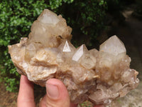 Natural Cascading White Phantom Smokey Quartz Clusters  x 2 From Luena, Congo - TopRock