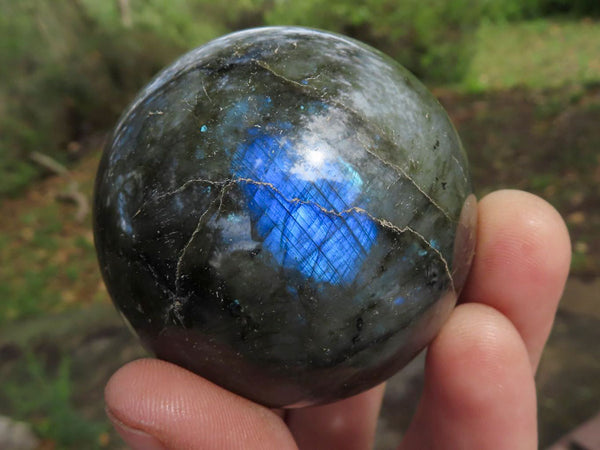 Polished Labradorite Spheres With Nice Subtle Flash x 6 From Tulear, Madagascar - TopRock