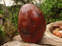 Polished Red Jasper Standing Free Forms  x 2 From Madagascar - Toprock Gemstones and Minerals 