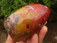 Polished Red Jasper Standing Free Forms  x 2 From Madagascar - Toprock Gemstones and Minerals 