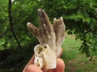 Natural Drusi Quartz Coated Calcite Pseudomorph Specimens  x 12 From Alberts Mountain, Lesotho - TopRock